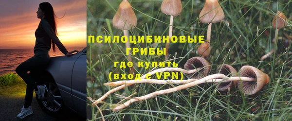 дживик Зерноград