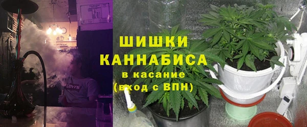 ГАЛЛЮЦИНОГЕННЫЕ ГРИБЫ Зеленодольск